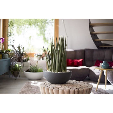 EDA PLASTIQUE - Vaso lavabo Graphit'Up 40 - 14,9L - Grigio antracite