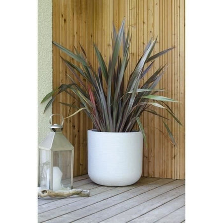 EDA PLASTIQUE - Pentola tonda 40 cm Graphit'Up - 32,5 L - Bianco limato