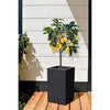 EDA Square Flower BAC High Graphit su - 36 L - 29,5 x 29,5 cm x 49,5 cm - grigio antracite