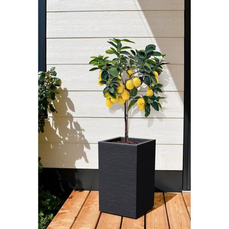 EDA Square Flower BAC High Graphit su - 36 L - 29,5 x 29,5 cm x 49,5 cm - grigio antracite