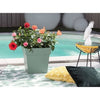 EDA PLASTIQUE - Vaso da fiori quadrato Tuscany - 32 x 32 x H 32 cm - 22 L - Verde alloro