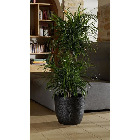 EDA OPAL GHAPE  29,5 cm - Volume 14,8 L - Nero