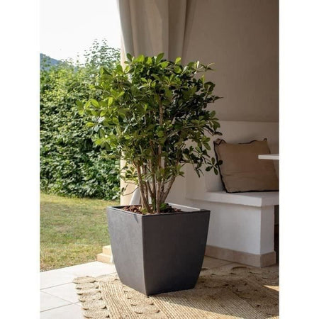 Fioriera - DIVA BASALT - Grigio antracite - Quadrata - 42 L - 43,5 x 43,5 x H.44,2 cm - EDA - Scatola interna estraibile