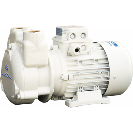 Elettropompa Cp30 24 V.
