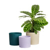 Vaso da fiori - Elho - Lex Pott - Set 14 - Bianco Verde Viola - L 14 x P 13,8 x A 12 cm - Per interni - 100% riciclato