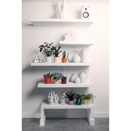 Vaso da fiori - Elho - Lex Pott - Set 14 - Bianco Verde Viola - L 14 x P 13,8 x A 12 cm - Per interni - 100% riciclato