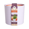 Vaso da fiori - Elho - Lex Pott - Set 15 - Viola Rosso Rosa Viola - L 15 x P 14,8 x A 14 cm - Per interni - 100% riciclato
