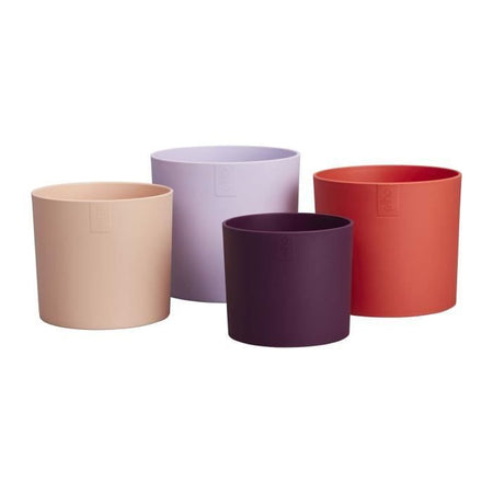 Vaso da fiori - Elho - Lex Pott - Set 15 - Viola Rosso Rosa Viola - L 15 x P 14,8 x A 14 cm - Per interni - 100% riciclato