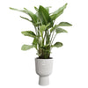 Vaso per fiori - Elho - Vibes Fold Coupe - Bianco - L 30 x P 29,5 x H 45 cm - Interno - 100% riciclato