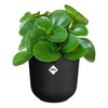 Vaso da fiori - Elho - Jazz Round - Nero -  26 x H 24 cm - Interno - 100% riciclato