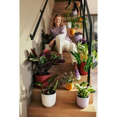 Vaso per fiori - Elho - Jazz Round - Bianco -  26 x H 24 cm - Interno - 100% riciclato