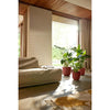 Vaso da fiori - Elho - Jazz Round - Rosso - L 30 x P 29,5 x H 27 cm - Interno - 100% riciclato