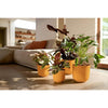 Vaso da fiori - Elho - Jazz Round - Giallo - L 35 x P 34,5 x H 32 cm - Interno - 100% riciclato