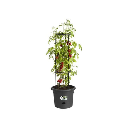 Vaso per pomodori ELHO Green Basics - 33 cm - Nero brillante