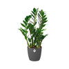 Vaso da fiori rotondo ELHO Bruxelles Wheels 40 - Nero - 39 x H 37 cm - interno - 100% riciclato