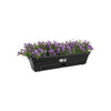 ELHO Balconniere Green Basics Allin1 50 - Esterno e balcone - L 25,7 x P 47,3 x H 16,7 cm - Living nero