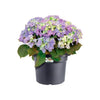 Fioriera Elho Green Basics Cilinder 65 - Nera - 64 x H 49 cm - da esterno - 100% riciclata