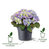 Fioriera Elho Green Basics Cilinder 65 - Nera - 64 x H 49 cm - da esterno - 100% riciclata