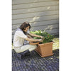 Sottovaso ELHO Green Basics 100 - Terracotta morbida - XXL - Esterno -  89,7 x H 5,7 cm