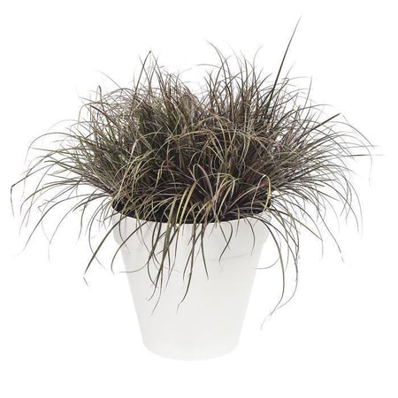 Vaso di fiori LU 50 centimetri Bianco