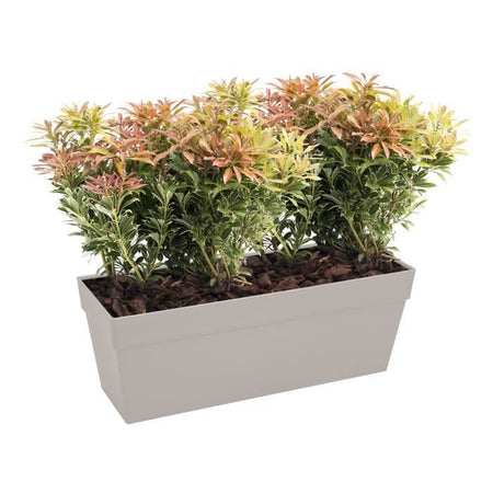 Bac fiori balc LU 50 centimetri Bianco