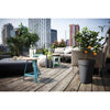 Piattino ELHO Round Loft Urban - 30 cm - Grigio antracite