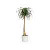 Vaso da fiori ELHO B.for Soft Round 35 - Bianco -  35 x H 32 cm - interno - 100% riciclato