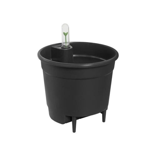 Inserto autoirrigante 28 living black