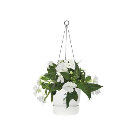 Vaso per fiori sospeso ELHO Greenville 24 - Esterno -  23,9 x H 20,3 cm - Bianco