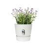 Vaso da fiori rotondo ELHO Greenville 30 - Esterno -  29,5 x H 27,8 cm - Bianco