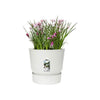 Vaso per fiori rotondo ELHO Greenville 40 - Esterno -  39 x H 36,8 cm - Bianco