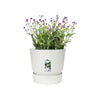 Vaso per fiori rotondo ELHO Greenville 40 - Esterno -  39 x H 36,8 cm - Bianco