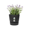Vaso di fiori rotondo ELHO Greenville 25 - Esterno -  24,48 x H 23,31 cm - Nero vivente