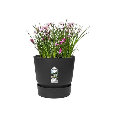 Vaso di fiori rotondo ELHO Greenville 25 - Esterno -  24,48 x H 23,31 cm - Nero vivente