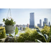 Vaso per fiori sospeso ELHO Greenville 24 - Esterno -  23,9 x H 20,3 cm - Verde foglia