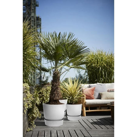 Vaso per fiori rotondo ELHO Greenville 30 - Esterno -  29,5 x H 27,8 cm - Grigio cemento vivente