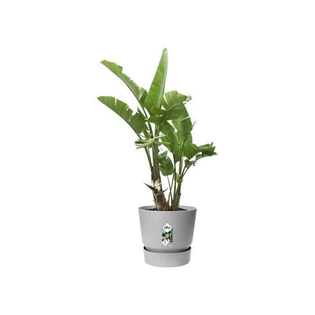Vaso per fiori rotondo ELHO Greenville 47 - Esterno -  47 x H 44,1 cm - Grigio cemento vivente