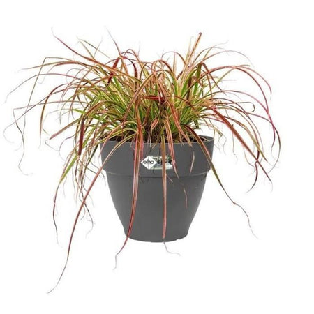 Elho Vibia Campana Fioriera Rotonda 55 - Nero - 55 x H 47 cm - da esterno - 100% riciclato