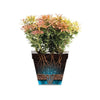 Vaso da fiori ELHO Loft Urban Round High 35 - Giallo -  34 x H 45 cm - per esterni - 100% riciclato
