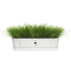 Oval piantatrice Greenville - Plastica - 70 - Greenfera