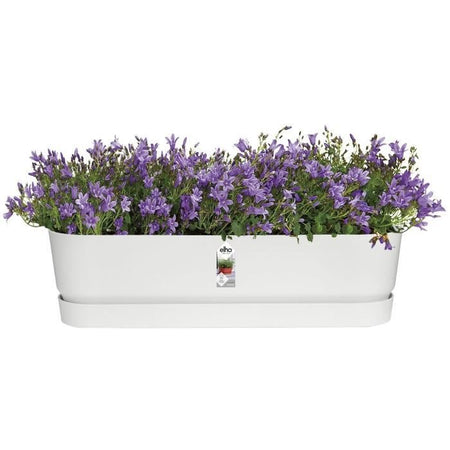 Oval piantatrice Greenville - Plastica - 70 - Greenfera
