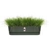 Greenville Oval piantatrice - Plastica - 50 - NERO