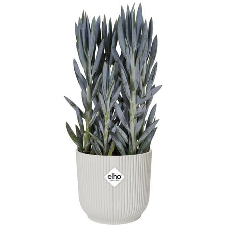 VIBE POTTO DI FOWER ROULD - Plastica - 22 - BIANCO