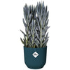 VIBE ROUME FLOWER POT - Plastica - 22 - Blu scuro