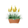 Fioriera Elho Vibia Campana Terrasse 80 - Marrone - L 77 x P 35 x H 33 cm - da esterno - 100% riciclata