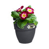 ELHO - Vaso da fiori - Vibia Campana Easy Hanger Small - Antracite - Balcone esterno - L 24,1 x P 20,5 x H 26,5 cm