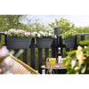 ELHO - Vaso da fiori - Vibia Campana Easy Hanger Medium - Antracite - Balcone esterno - L 24,1 x P 36 x H 26,5 cm
