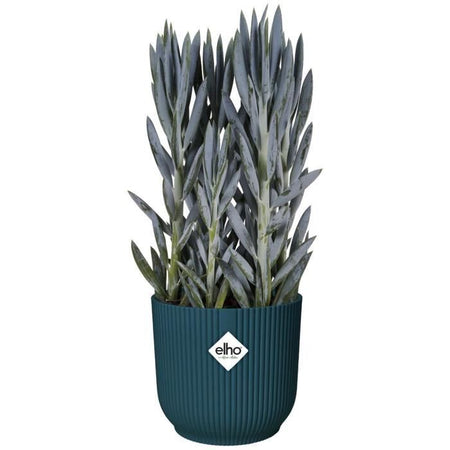 VIBE ROUME FLOWER POT - Plastica - 25 - Blu scuro