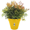 Loft Urban Round Flower Pot - Plastic - Percé - Tank - con ruote - 50 - ocra