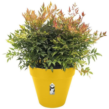 Loft Urban Round Flower Pot - Plastic - Percé - Tank - con ruote - 50 - ocra
